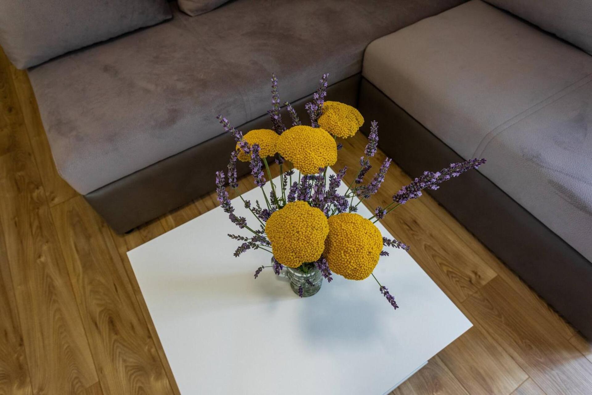 Apartments Bernardeta 2 باشْكا المظهر الخارجي الصورة