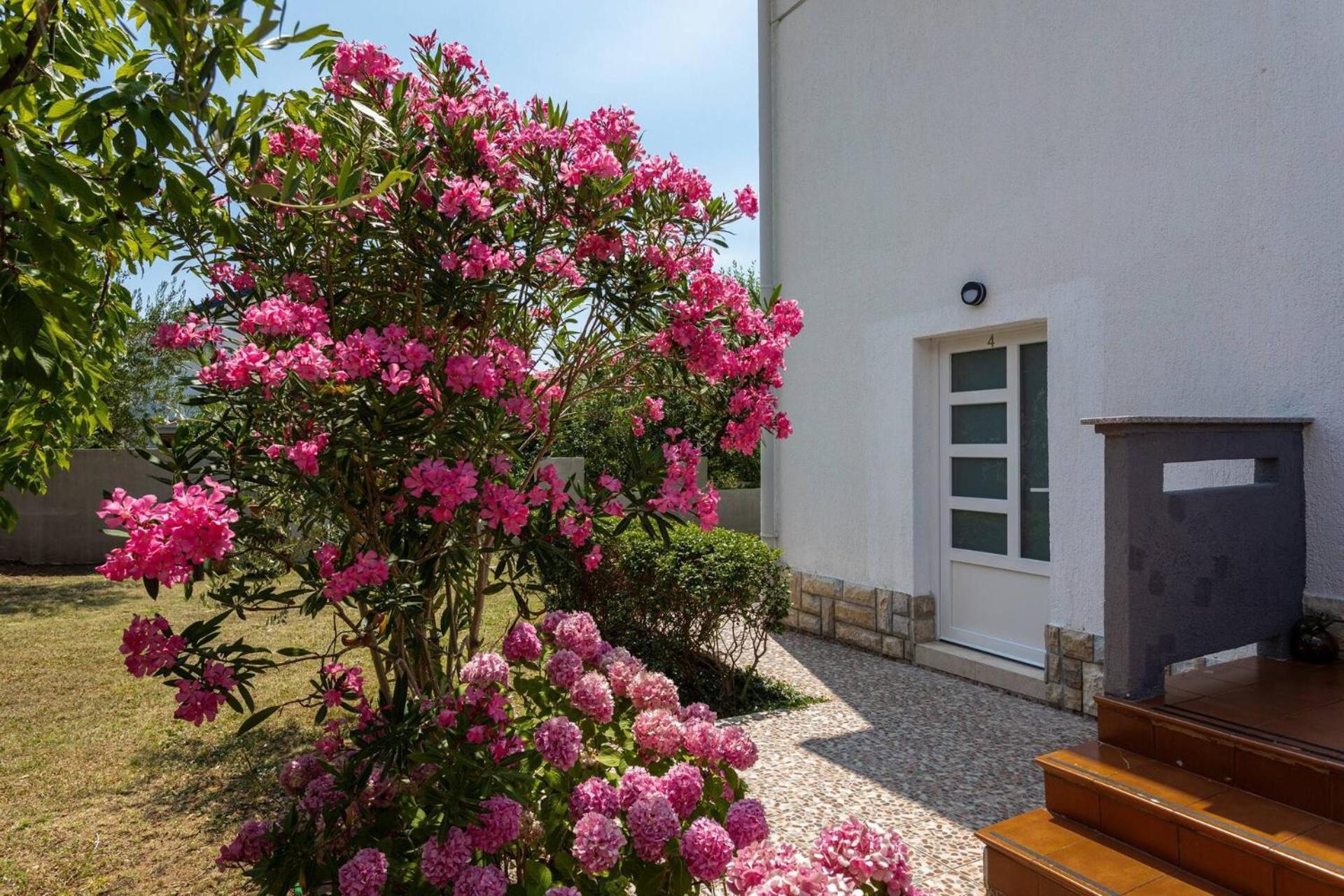 Apartments Bernardeta 2 باشْكا المظهر الخارجي الصورة